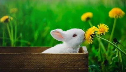 kaiyun网站-青少年体育活动管理规范，青少年体育管理体制