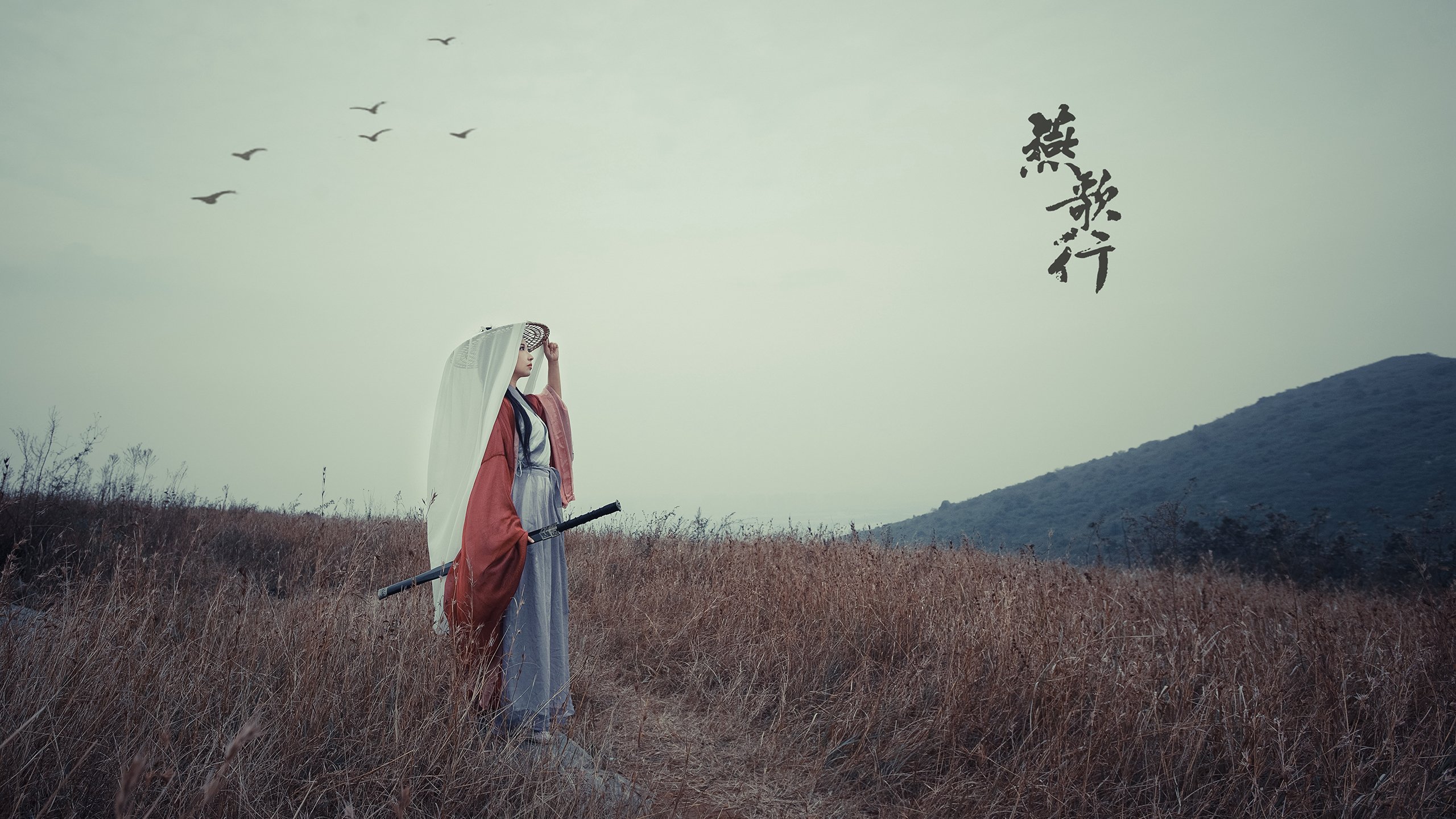 新能源赛车：节能减排的未来，新能源汽车挑战赛