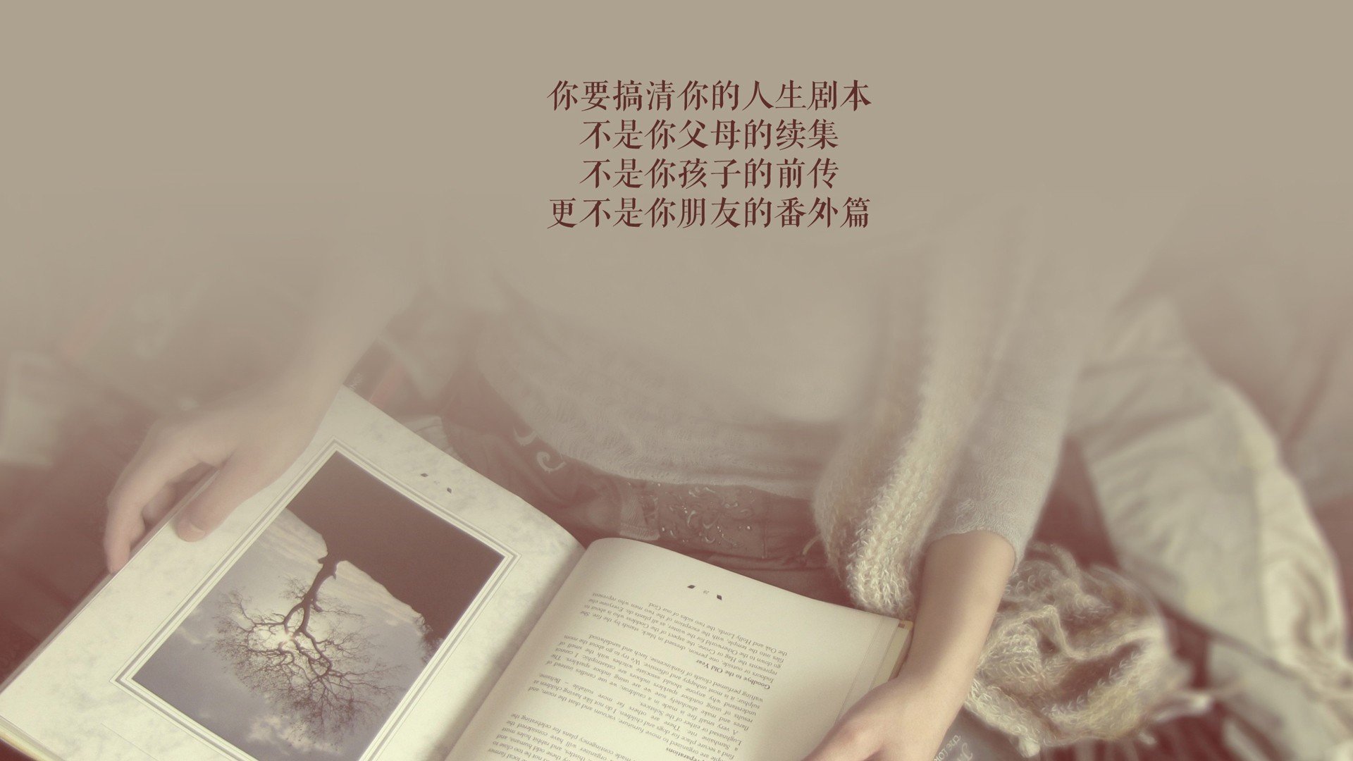 墨西哥球员新赛季表现出色，成为新宠，墨西哥球员新赛季表现出色,成为新宠物的是谁
