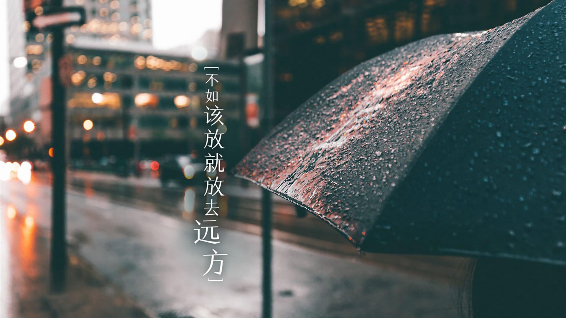 捷克队半场暂时领先德国，气势如虹，捷克队战绩