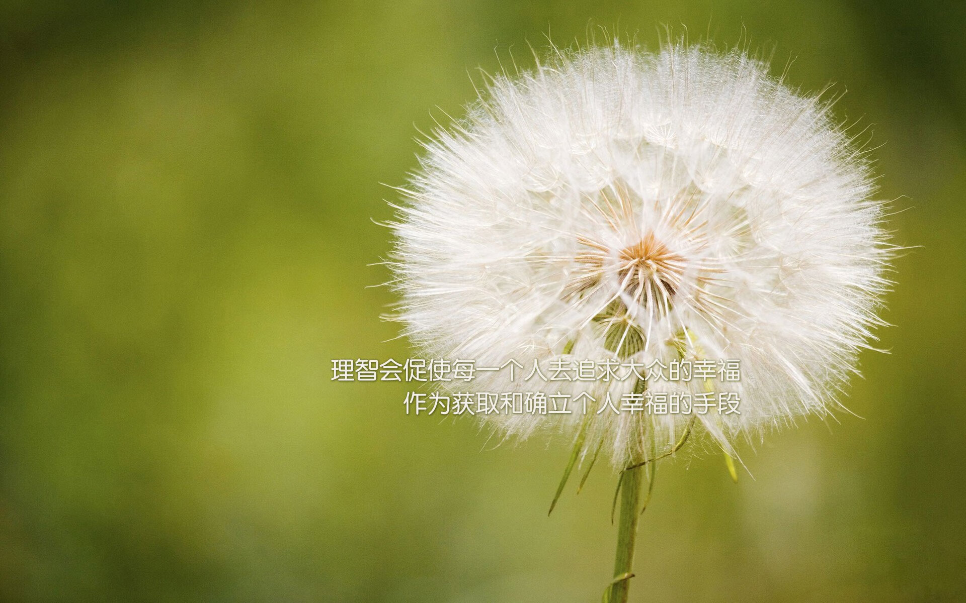 阿根廷球员海外联赛表现亮眼，阿根廷球队怎样