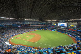 kaiyun网站-世界击剑锦标赛中国女花首次进四强，击剑世界冠军女