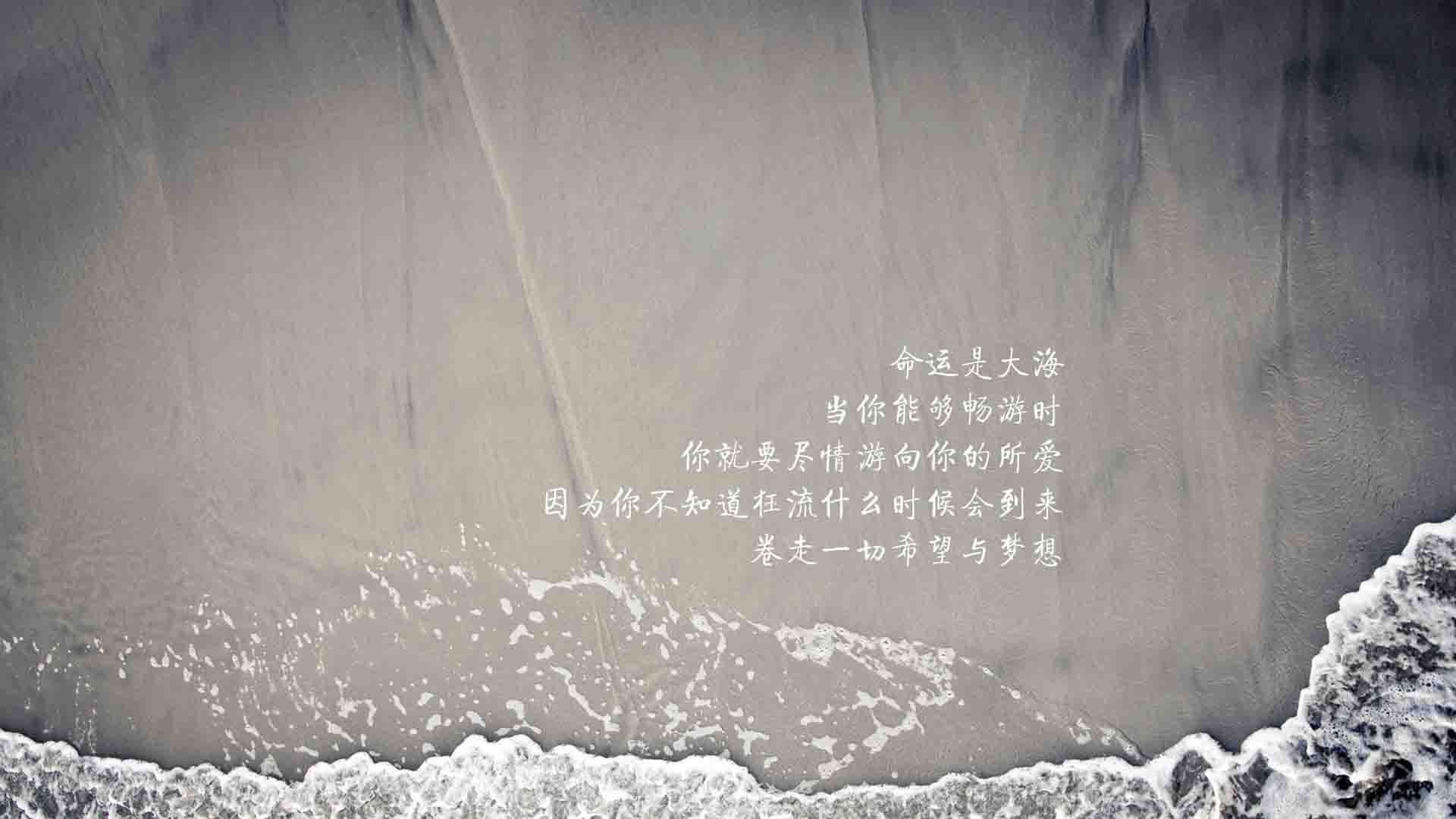赛季揭幕战：五大联赛豪门逐鹿争锋，五大联赛豪门排行
