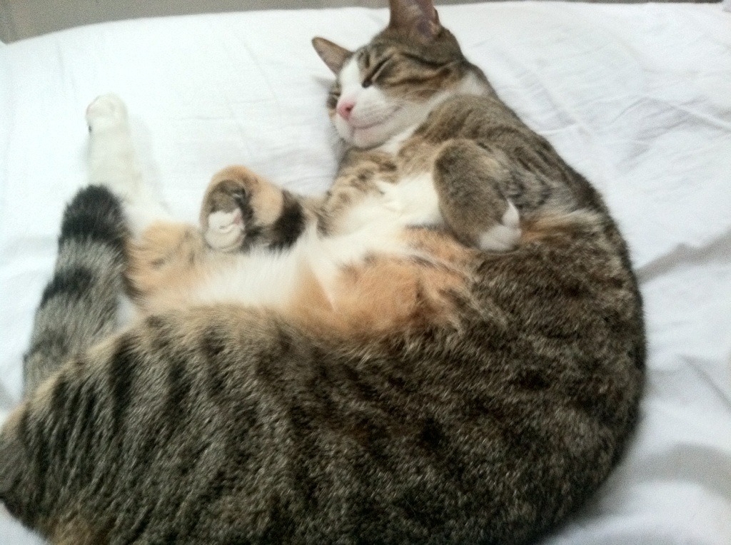 中美澳三国对抗形成多项目立体态势，中澳战略对话