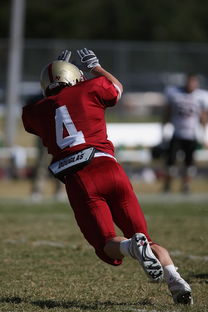 开云官网首页-五大联赛最具统治力的球队如何打造，五大联赛良心球队