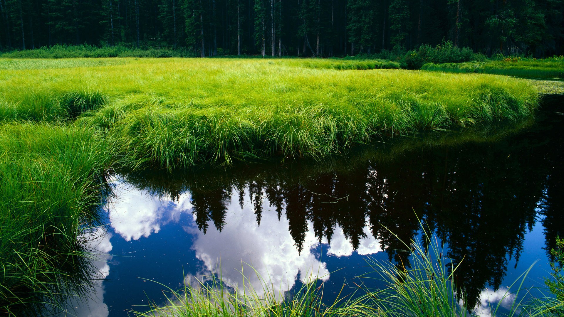 俱乐部多元化运营模式不足,俱乐部多元化运营模式不足之处