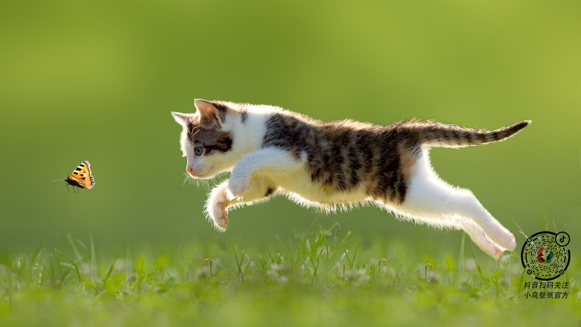 体育新闻中心联合高校打造“体育+传媒”实践课程体系