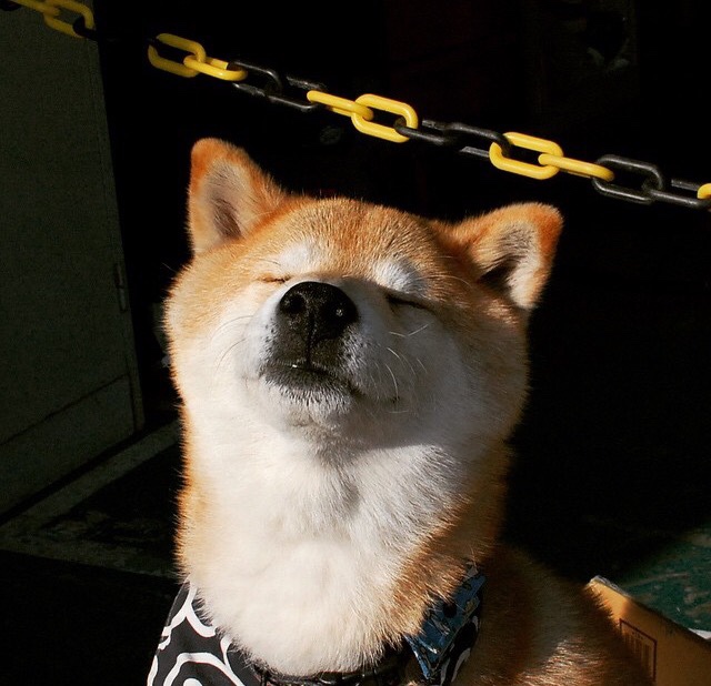 加拿大队的未来：如何通过创新战术与科技提升竞争力，加拿大军事力量如何