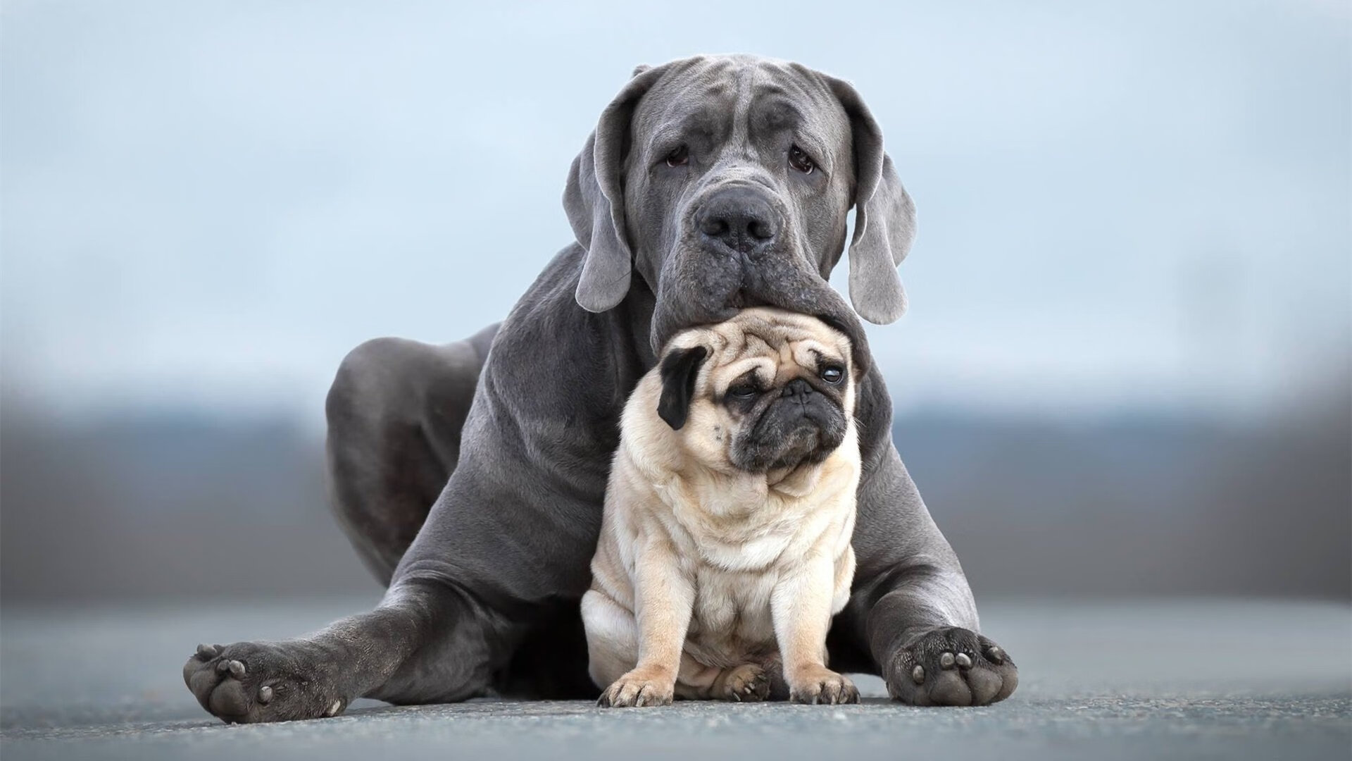 奥预赛U23国足逆转 热血时刻令人难忘,u23国奥名单