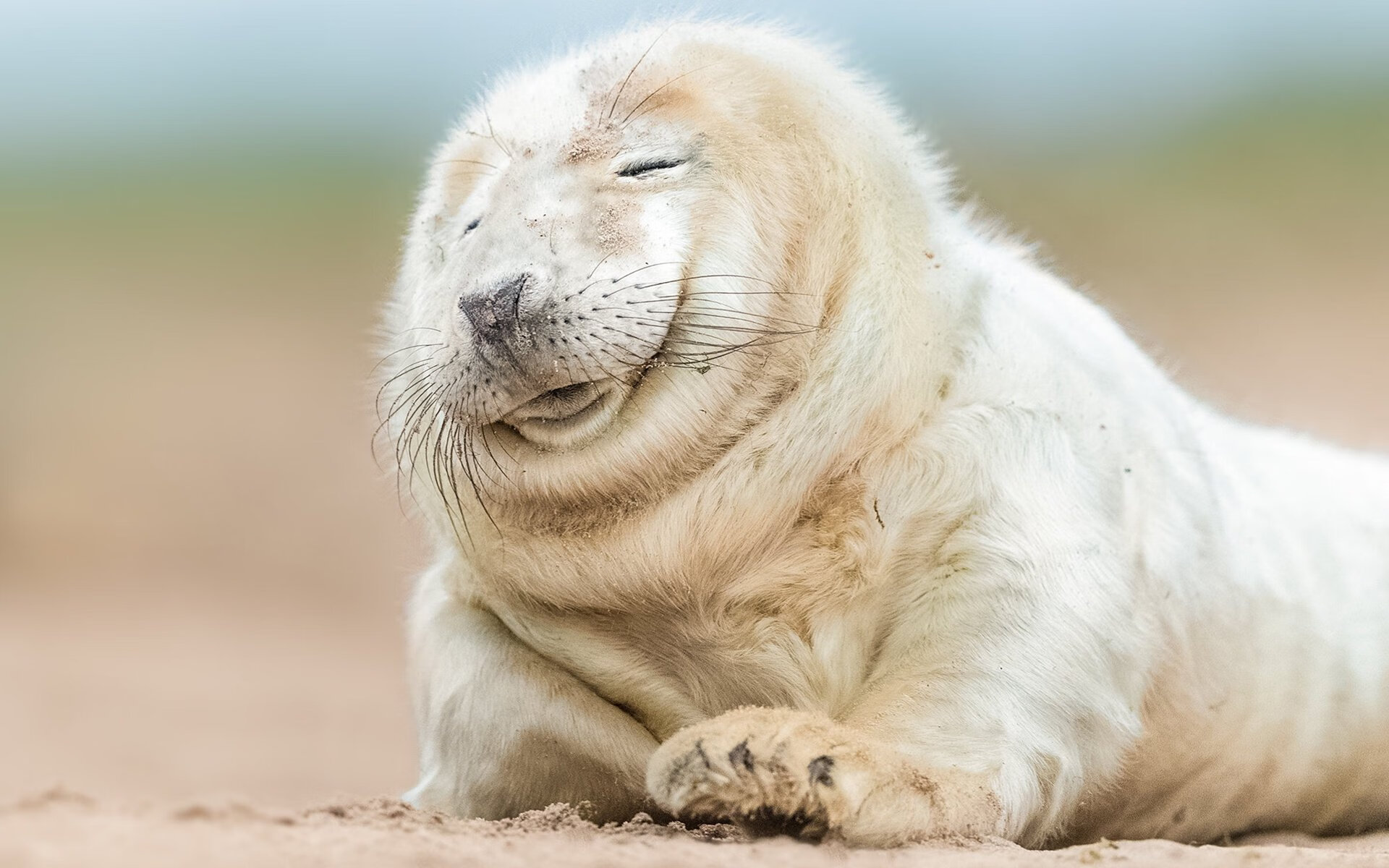 kaiyun 开云体育-男子50米项目收获铜牌，男子50米项目收获铜牌多少秒