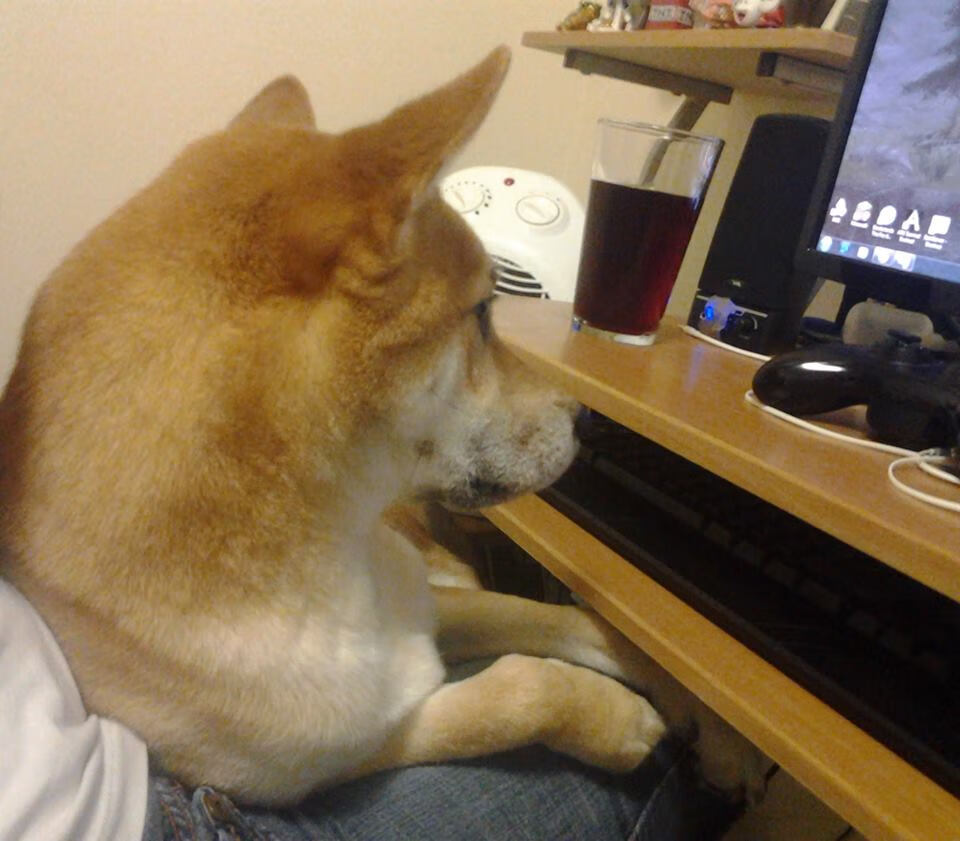 开云官方网站-职业联赛裁判执法争议多，职业联赛足球裁判工资多少