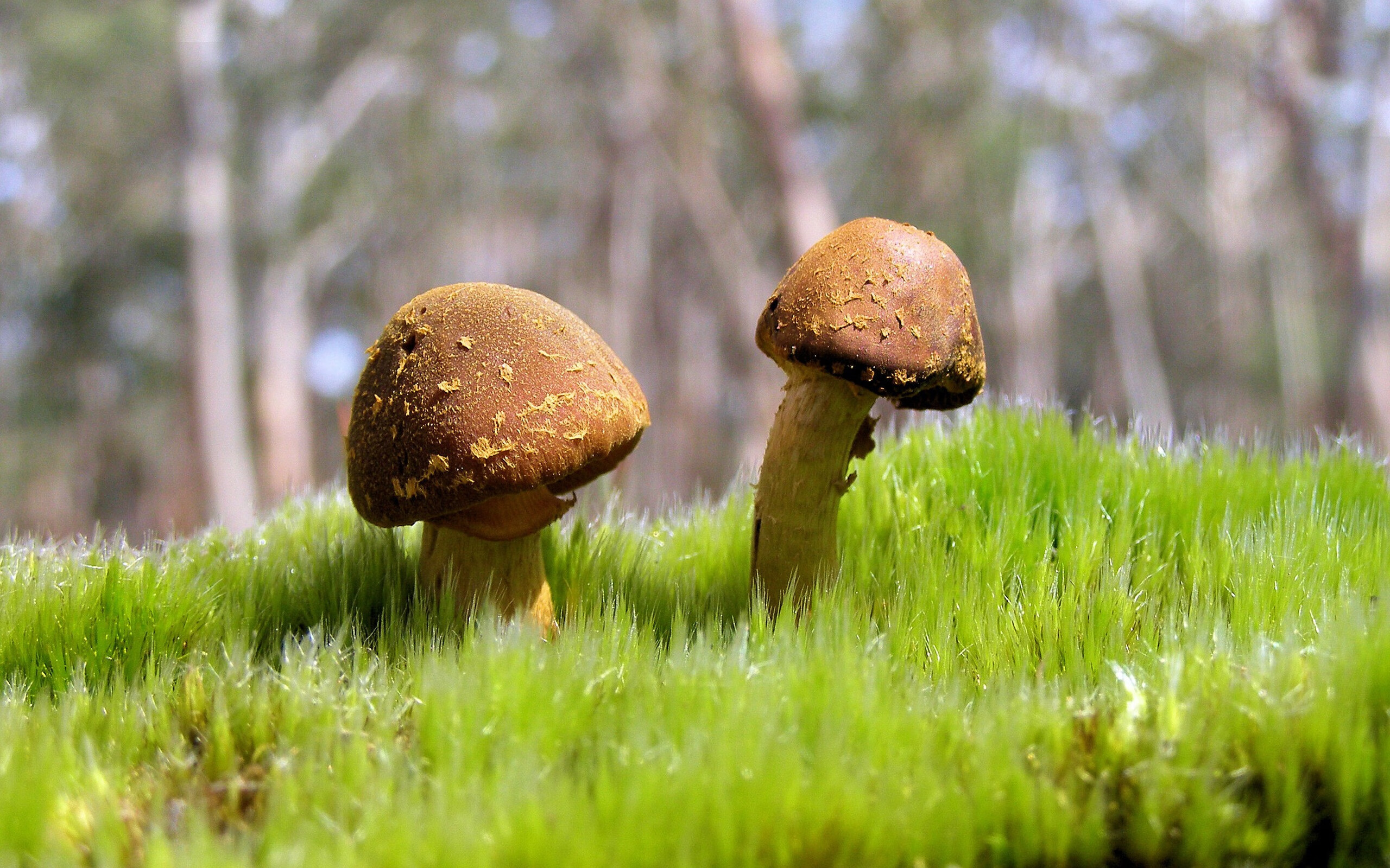 防守强度成制胜关键团队协作成基石，防守工作