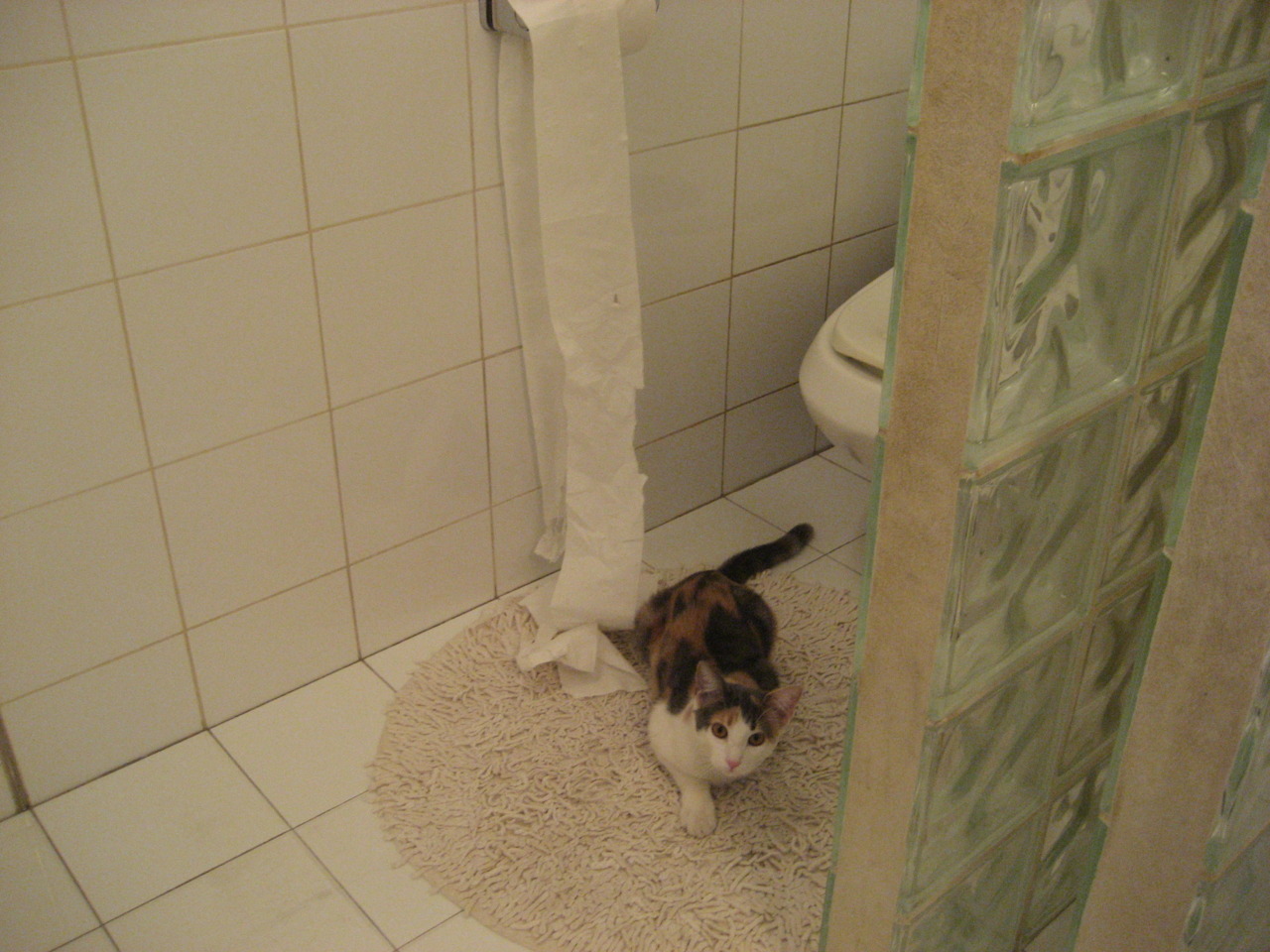 kaiyun登录入口-世界杯期间的球员健康管理，世界杯参赛球员要求