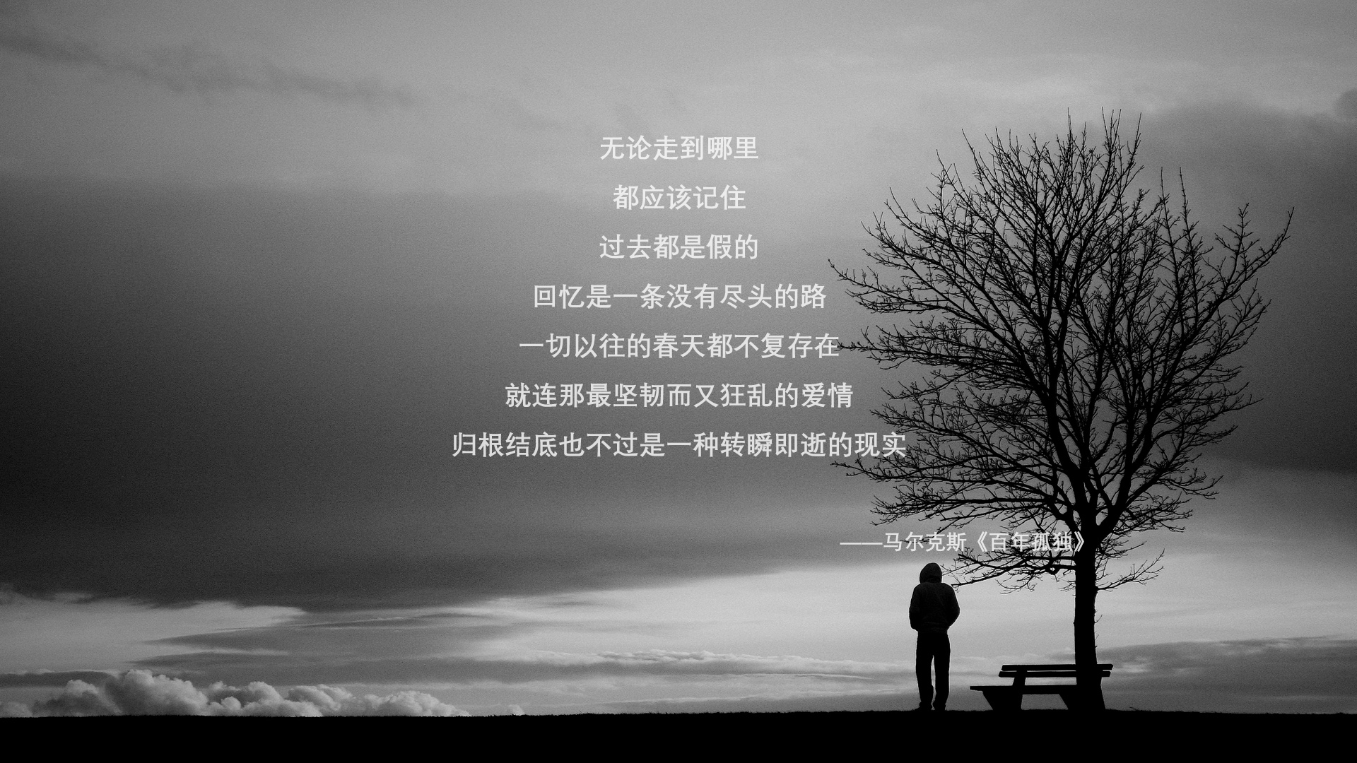 体育博览会展示最新科技成果，体育博览会展示最新科技成果有哪些