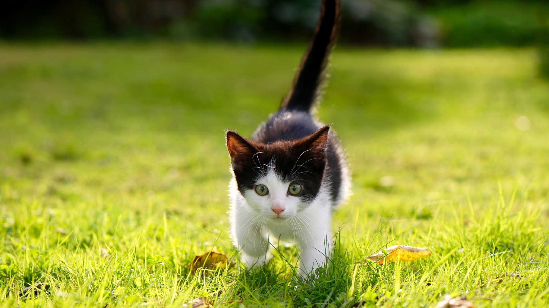 女子国家队推动多地区集训提升战术理解统一性，女子队员
