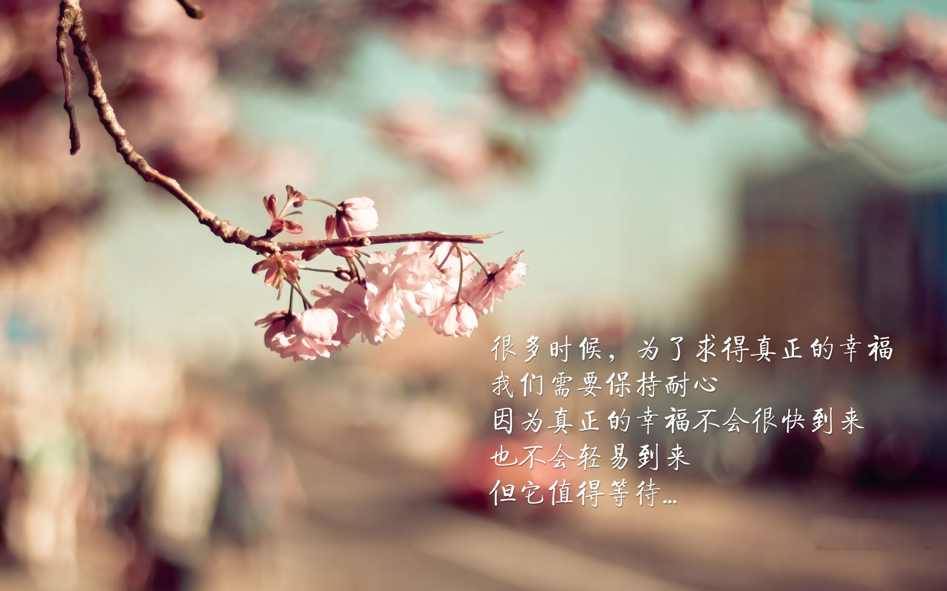 库里客串解说展现不一样的篮球智慧,库里篮球比赛解说