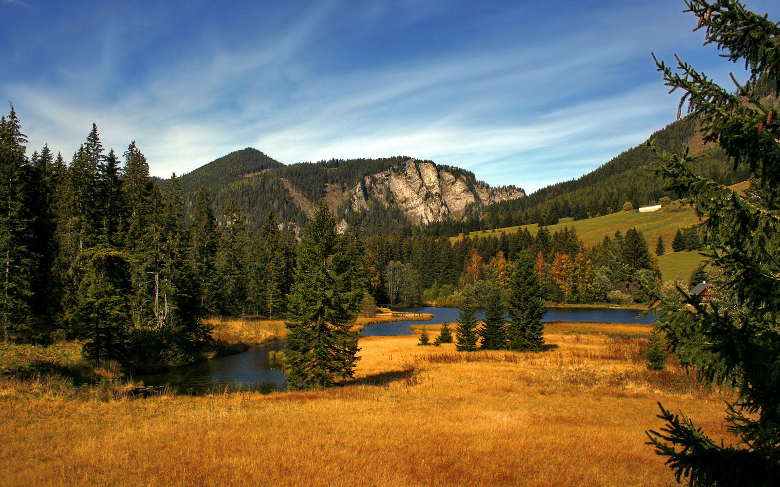 开云下载-张伟丽表示将用行动回应外界期待，张伟丽最新消息回国了吗