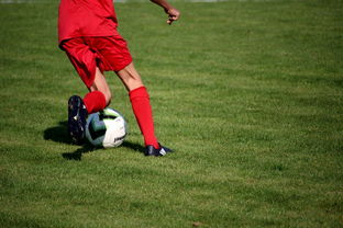 开云kaiyun-职业俱乐部推动退役球员培训转型教练岗位，职业选手退役当教练