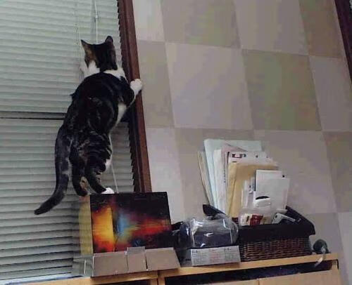 英超终极战：精彩对决每一秒都精彩！，英超精华集锦