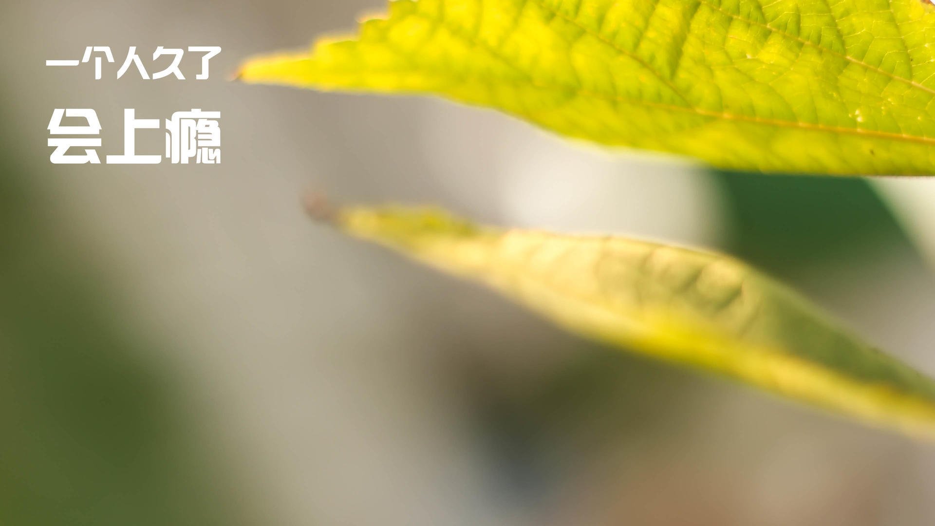 英超终极战：精彩对决每一秒都精彩！，英超精华集锦