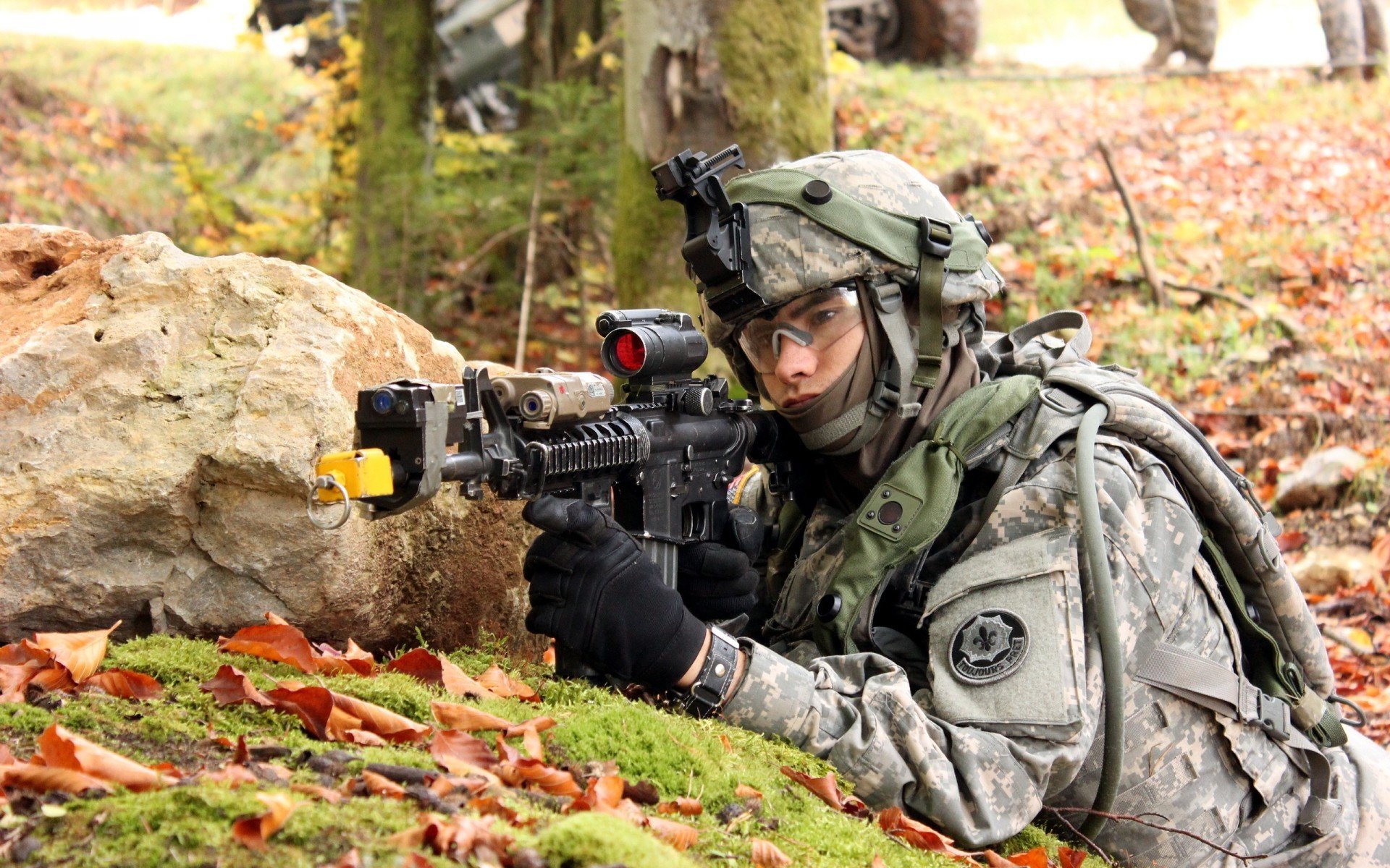 荷兰仰泳老将强势归来,荷兰游泳冠军