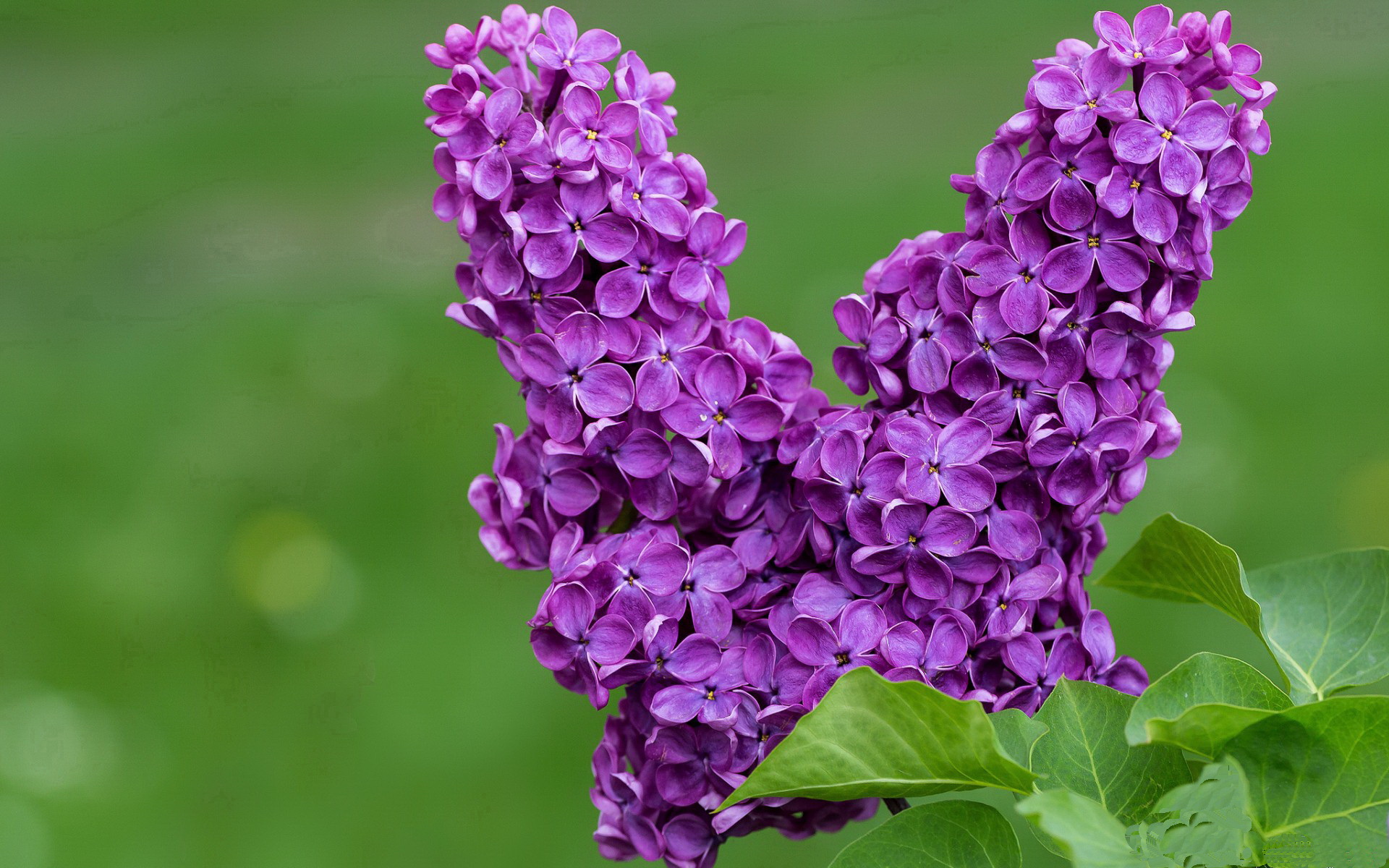 开云网页版-谷爱凌登上体育频道封面再成焦点，谷爱凌专访