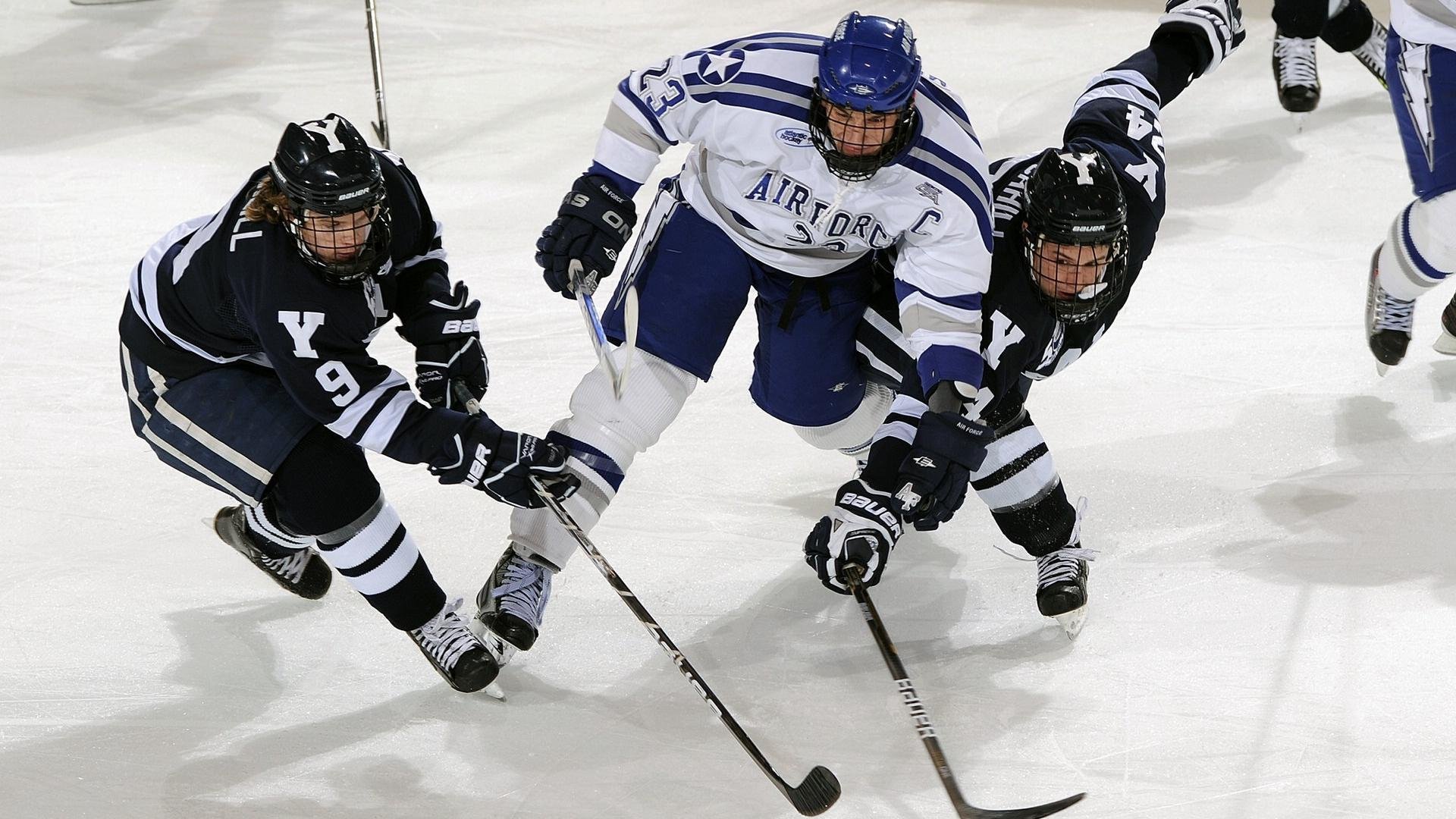 _奇才队攻防兼备，战绩持续提升_，奇才队百度百科