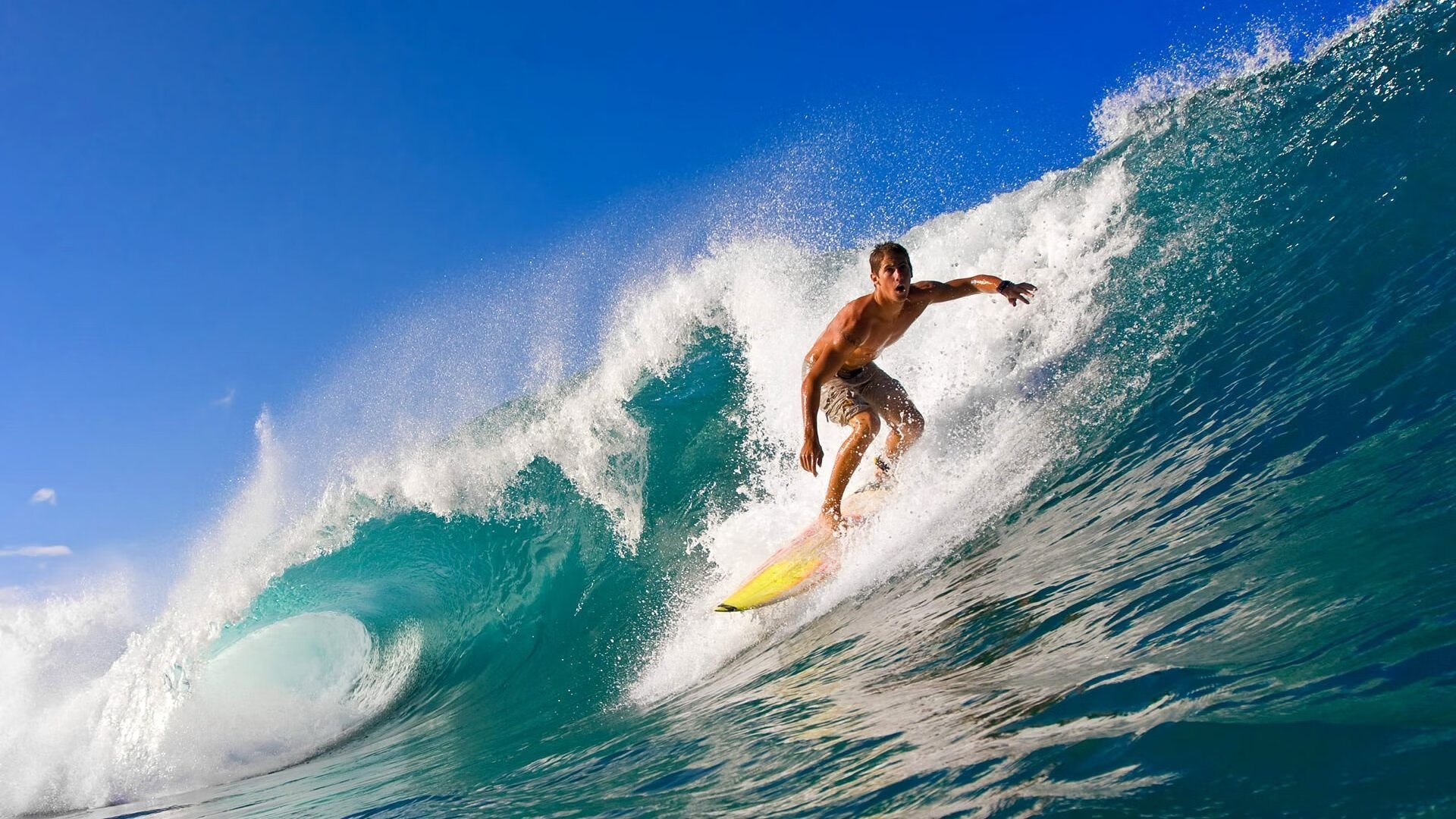 德甲创新战术,关键扑救与精彩进球交织,比赛精彩纷呈,德甲扑救榜